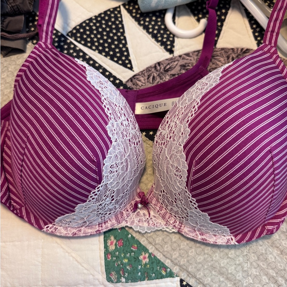 Cacique Women's Striped Purple and White Lace Bra